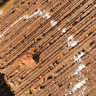 storm damage roof